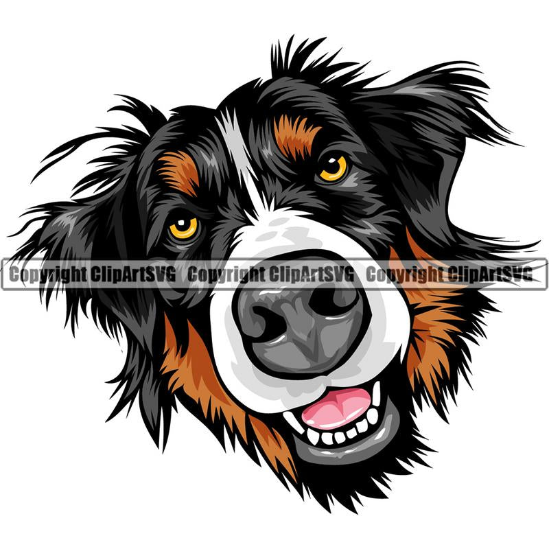 Bernese Mountain Dog Breed Head Color ClipArt SVG
