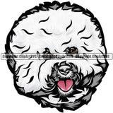 Bichon Frise Dog Breed Head Color ClipArt SVG