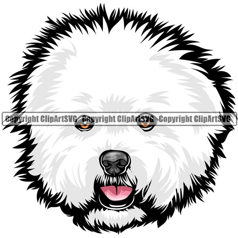 Bichon Frise Dog Breed Head Color ClipArt SVG