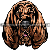 Bloodhound Dog Breed Head Color ClipArt SVG