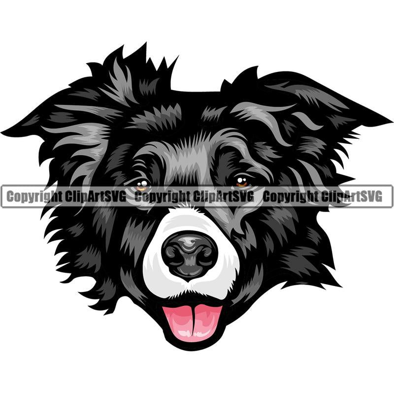Border Collie Dog Breed Head Color ClipArt SVG