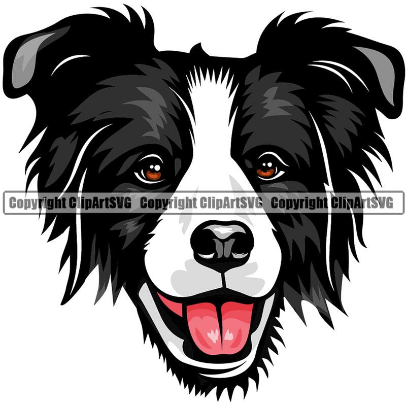 Border Collie Dog Breed Head Color ClipArt SVG