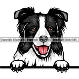 Border Collie Dog Breed Peeking Color ClipArt SVG