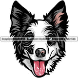 Border Collie Dog Breed Head Color ClipArt SVG