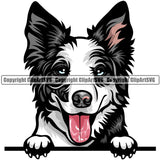 Border Collie Dog Breed Peeking Color ClipArt SVG