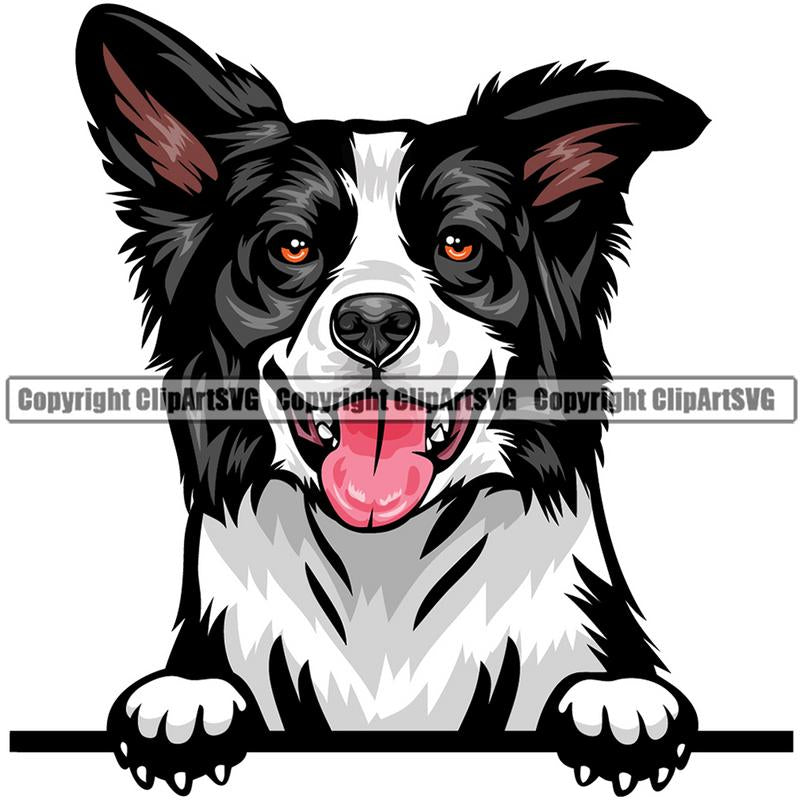 Border Collie Dog Breed Peeking Color ClipArt SVG