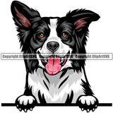 Border Collie Dog Breed Peeking Color ClipArt SVG