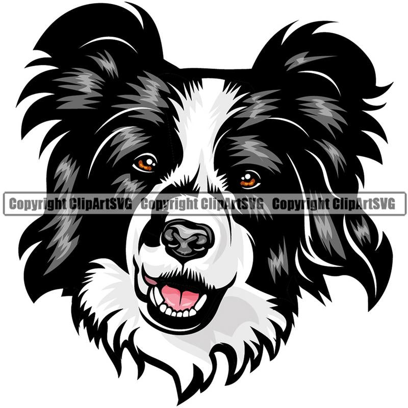 Border Collie Dog Breed Head Color ClipArt SVG
