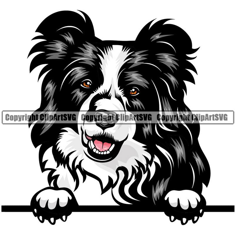 Border Collie Dog Breed Peeking Color ClipArt SVG