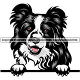 Border Collie Dog Breed Peeking Color ClipArt SVG