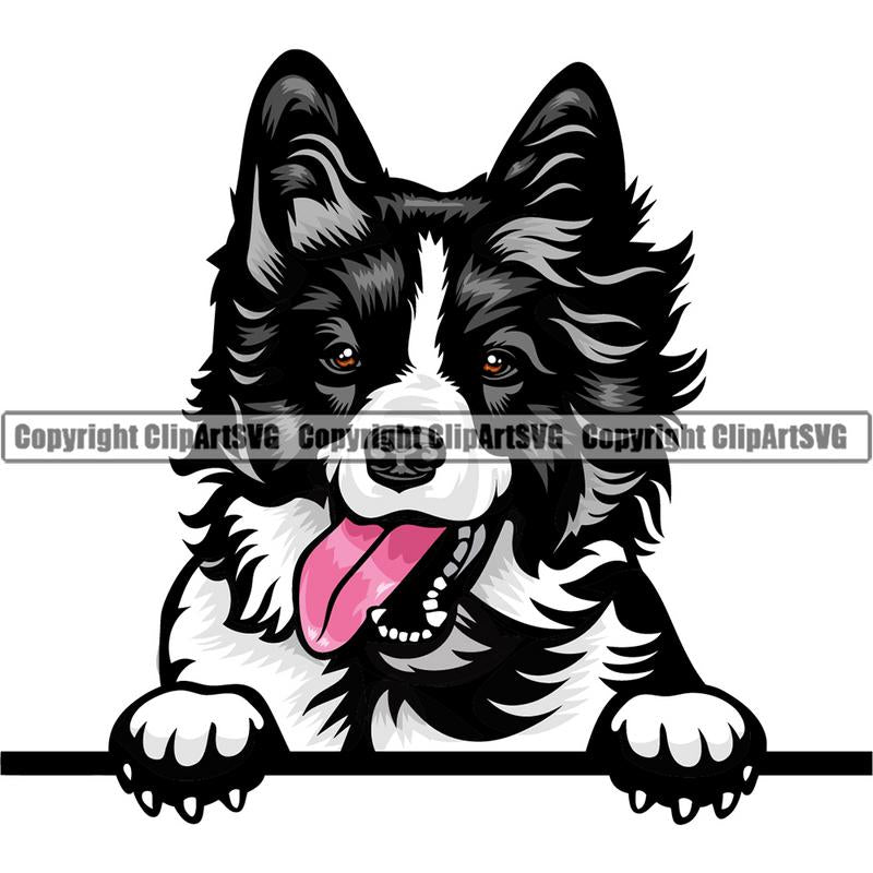 Border Collie Dog Breed Peeking Color ClipArt SVG