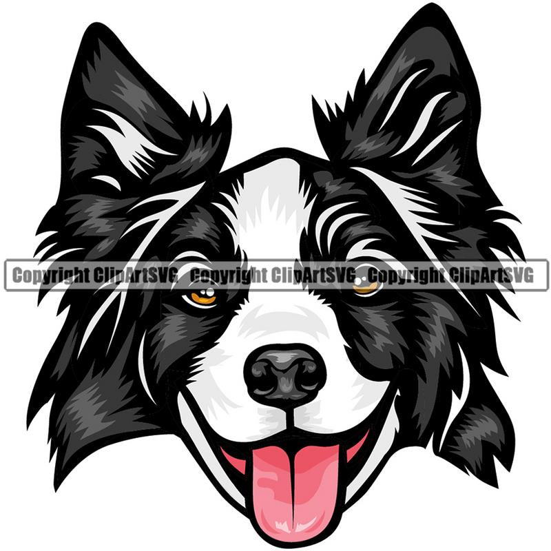 Border Collie Dog Breed Head Color ClipArt SVG