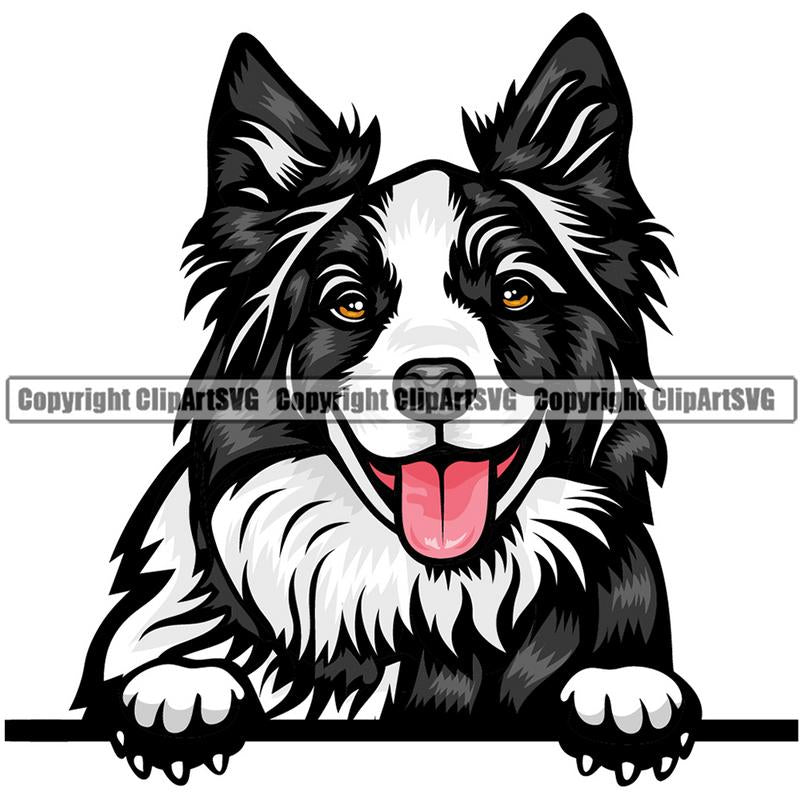 Border Collie Dog Breed Peeking Color ClipArt SVG