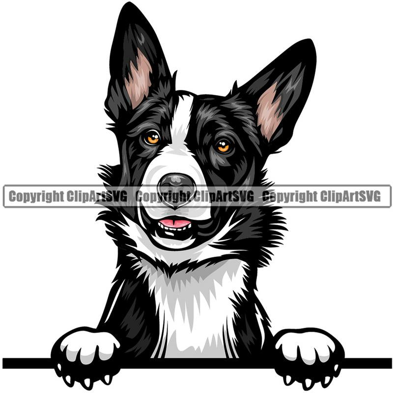 Border Collie Dog Breed Peeking Color ClipArt SVG