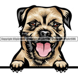 Border Terrier Dog Breed Peeking Color ClipArt SVG