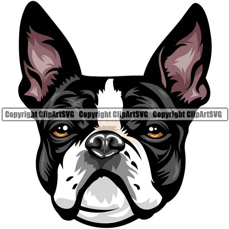 Border Terrier Dog Breed Head Color ClipArt SVG