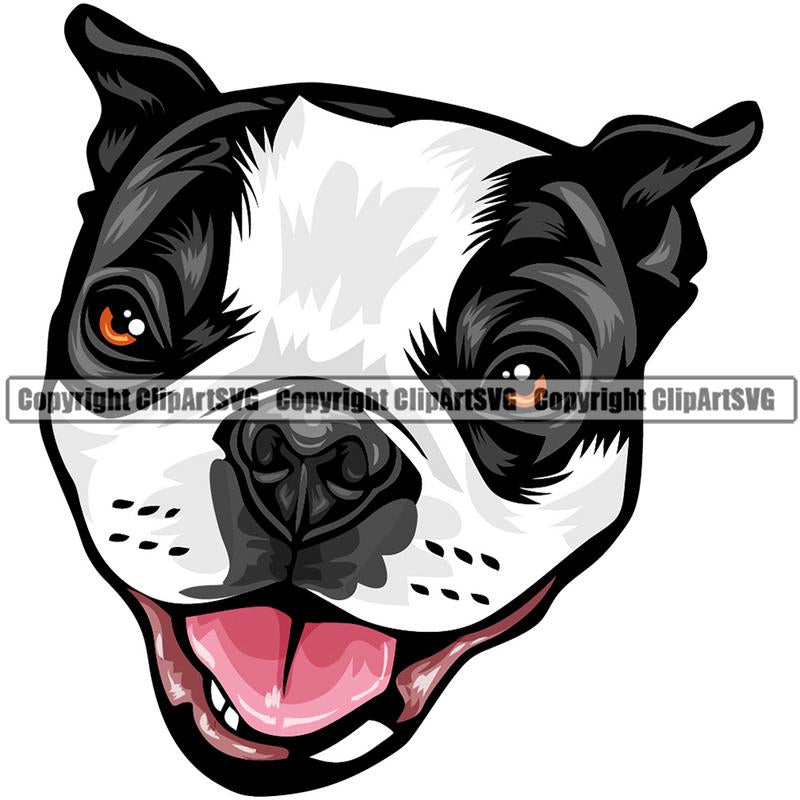 Border Terrier Dog Breed Head Color ClipArt SVG