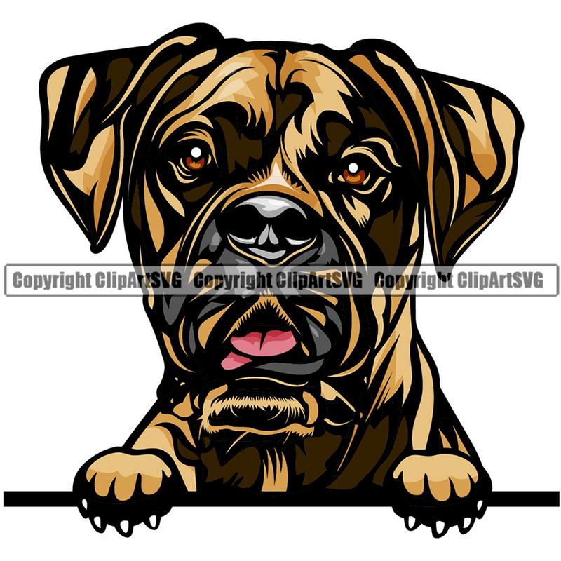 Boxer Dog Breed Peeking Color ClipArt SVG