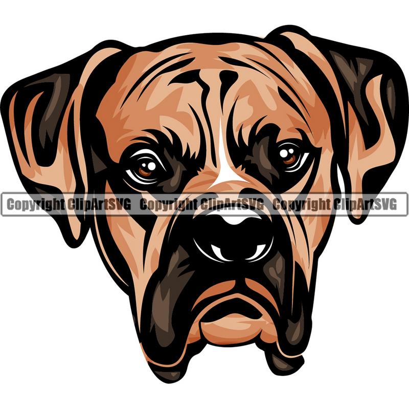 Boxer Dog Breed Head Color ClipArt SVG