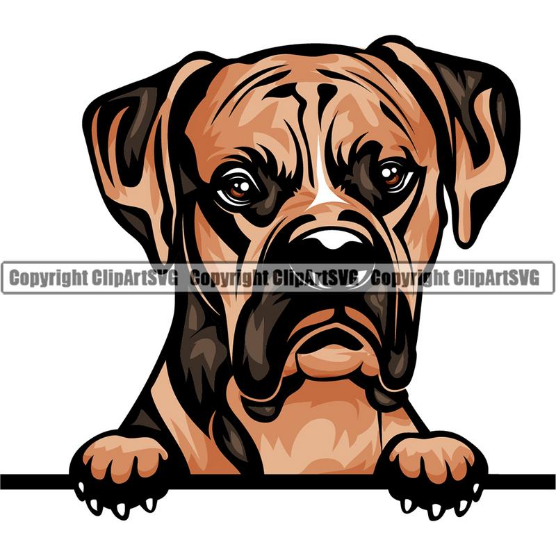 Boxer Dog Breed Peeking Color ClipArt SVG