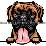 Boxer Dog Breed Peeking Color ClipArt SVG