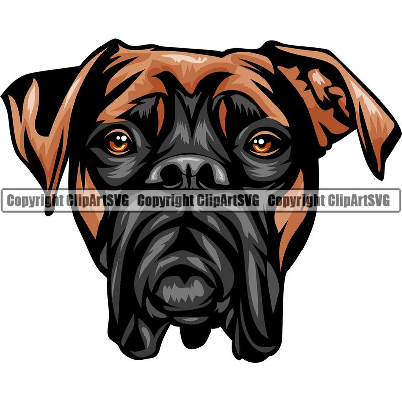 Boxer Dog Breed Head Color ClipArt SVG
