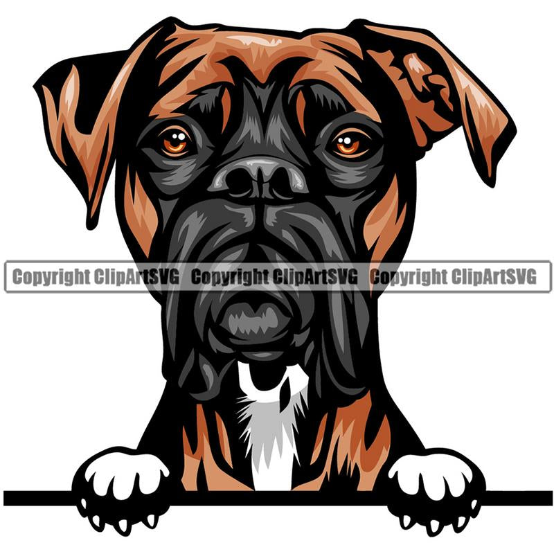 Boxer Dog Breed Peeking Color ClipArt SVG
