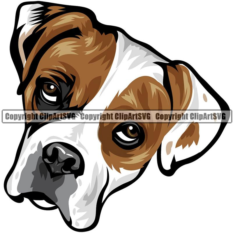 Boxer Dog Breed Head Color ClipArt SVG