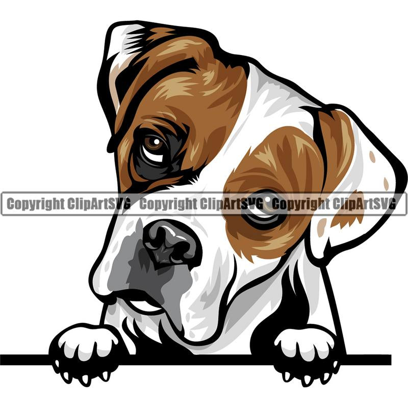Boxer Dog Breed Peeking Color ClipArt SVG