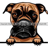 Boxer Dog Breed Peeking Color ClipArt SVG