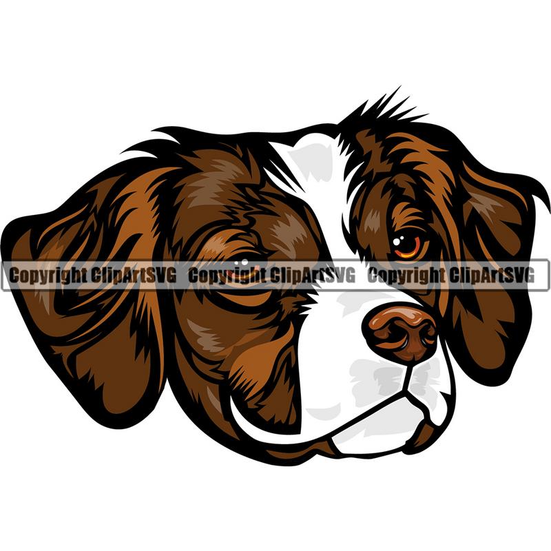 Brittany Spaniel Dog Breed Head Color ClipArt SVG