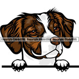 Brittany Spaniel Dog Breed Peeking Color ClipArt SVG