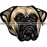 Bull Mastiff Dog Breed Head Color ClipArt SVG