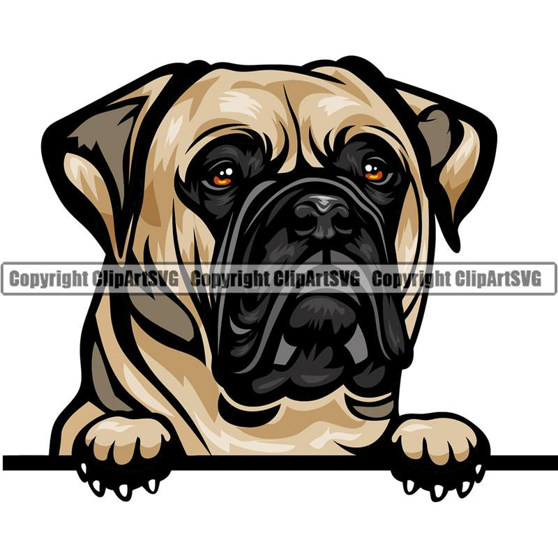 Bull Mastiff Dog Breed Peeking Color ClipArt SVG