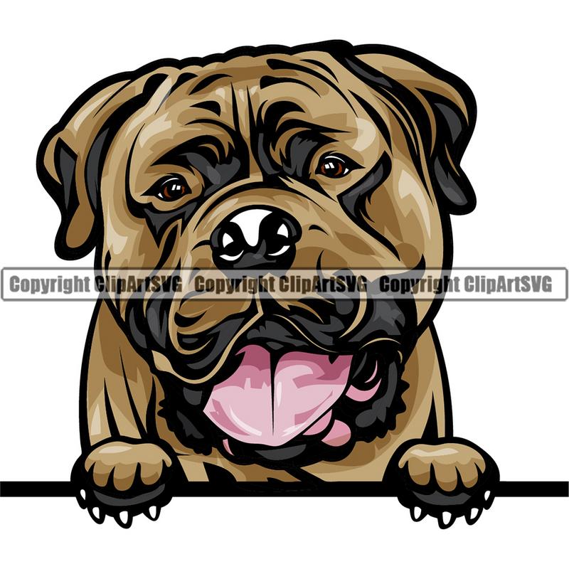 Bull Mastiff Dog Breed Peeking Color ClipArt SVG