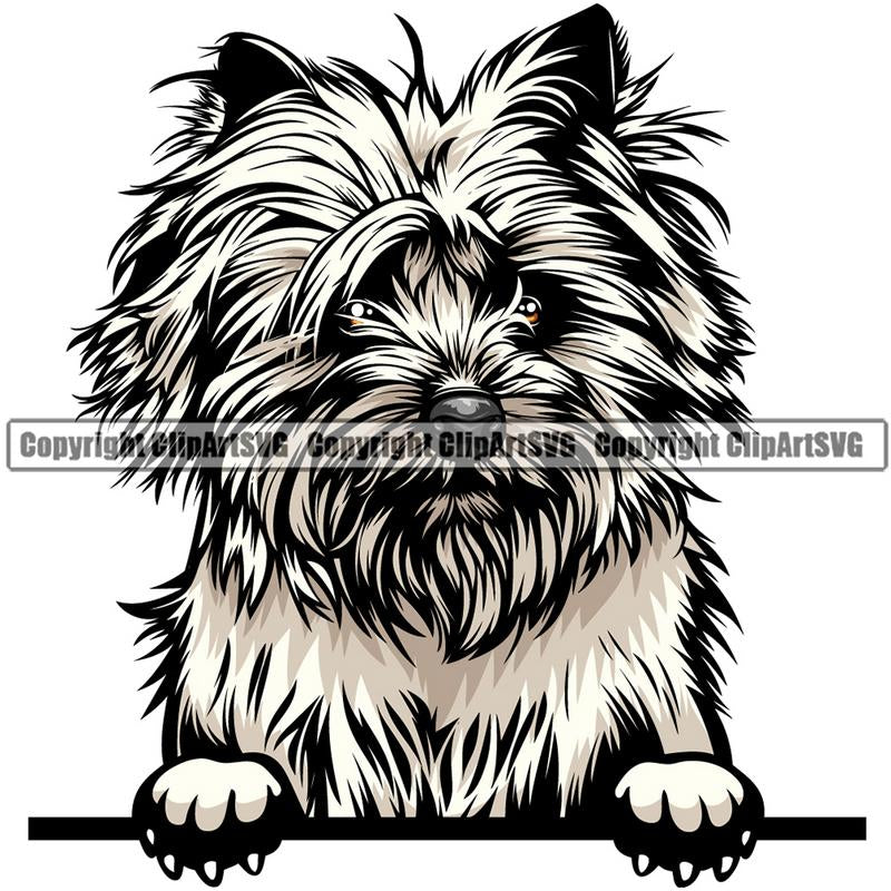 Cairn Terrier Dog Breed Peeking Color ClipArt SVG