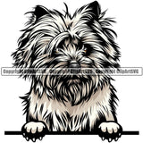 Cairn Terrier Dog Breed Peeking Color ClipArt SVG