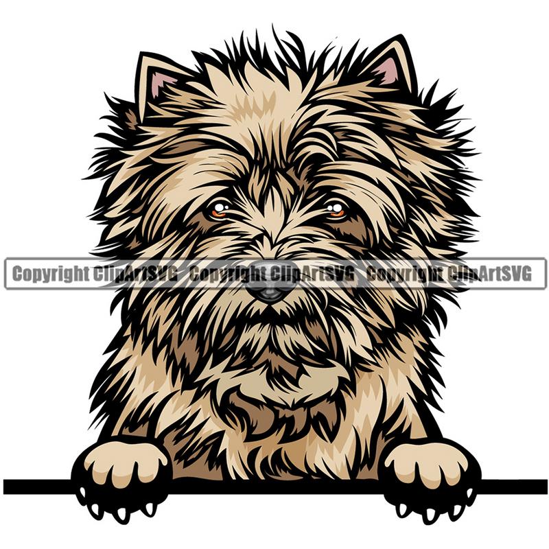 Cairn Terrier Dog Breed Peeking Color ClipArt SVG