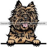 Cairn Terrier Dog Breed Peeking Color ClipArt SVG