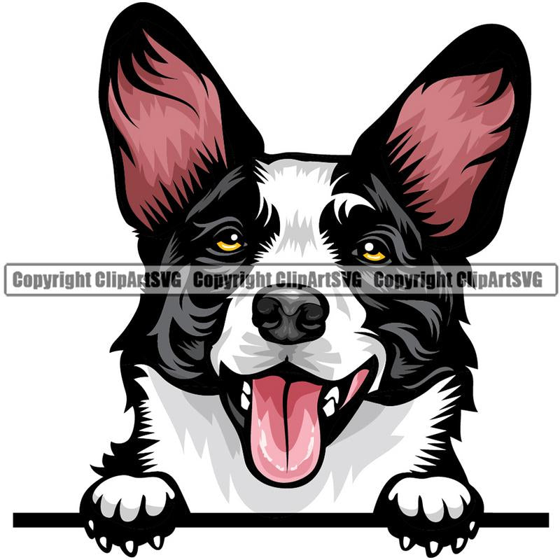 Cardigan Welsh Corgi Dog Breed Peeking Color ClipArt SVG