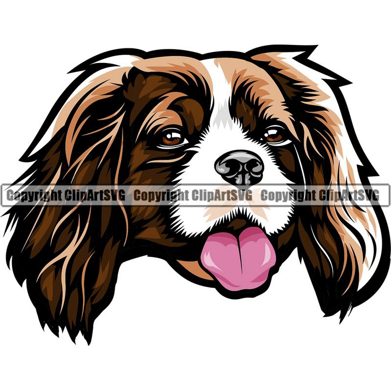 Cavalier King Charles Dog Breed Head Color ClipArt SVG