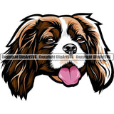 Cavalier King Charles Dog Breed Head Color ClipArt SVG
