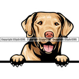 Chesapeake Bay Retriever Dog Breed Peeking Color ClipArt SVG