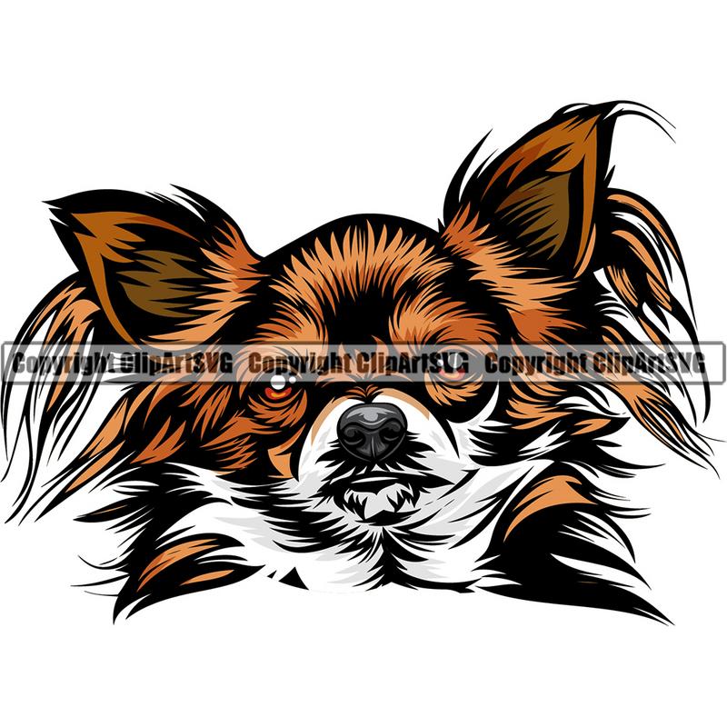 Chihuahua Dog Breed Head Color ClipArt SVG