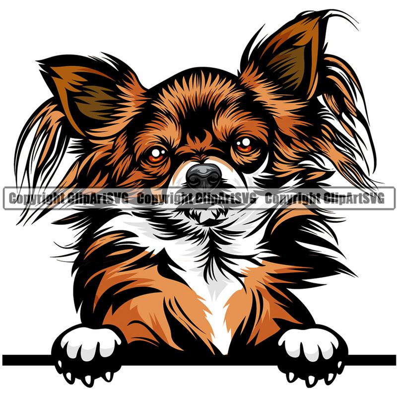 Chihuahua Dog Breed Peeking Color ClipArt SVG