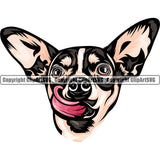 Chihuahua Dog Breed Head Color ClipArt SVG
