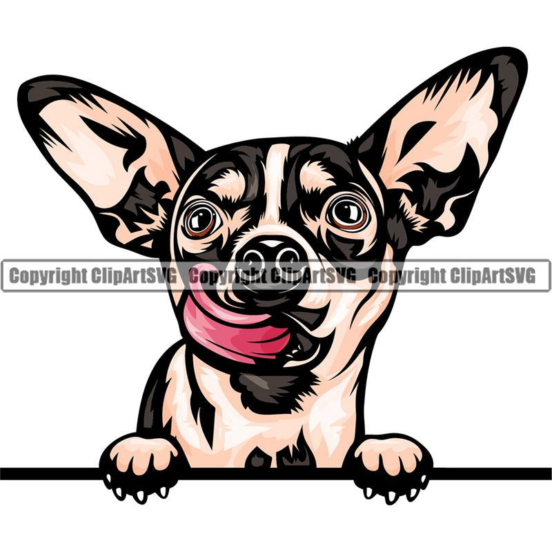 Chihuahua Dog Breed Peeking Color ClipArt SVG