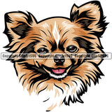 Chihuahua Dog Breed Head Color ClipArt SVG
