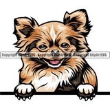 Chihuahua Dog Breed Peeking Color ClipArt SVG