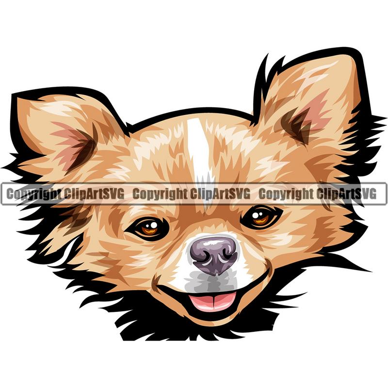 Chihuahua Dog Breed Head Color ClipArt SVG